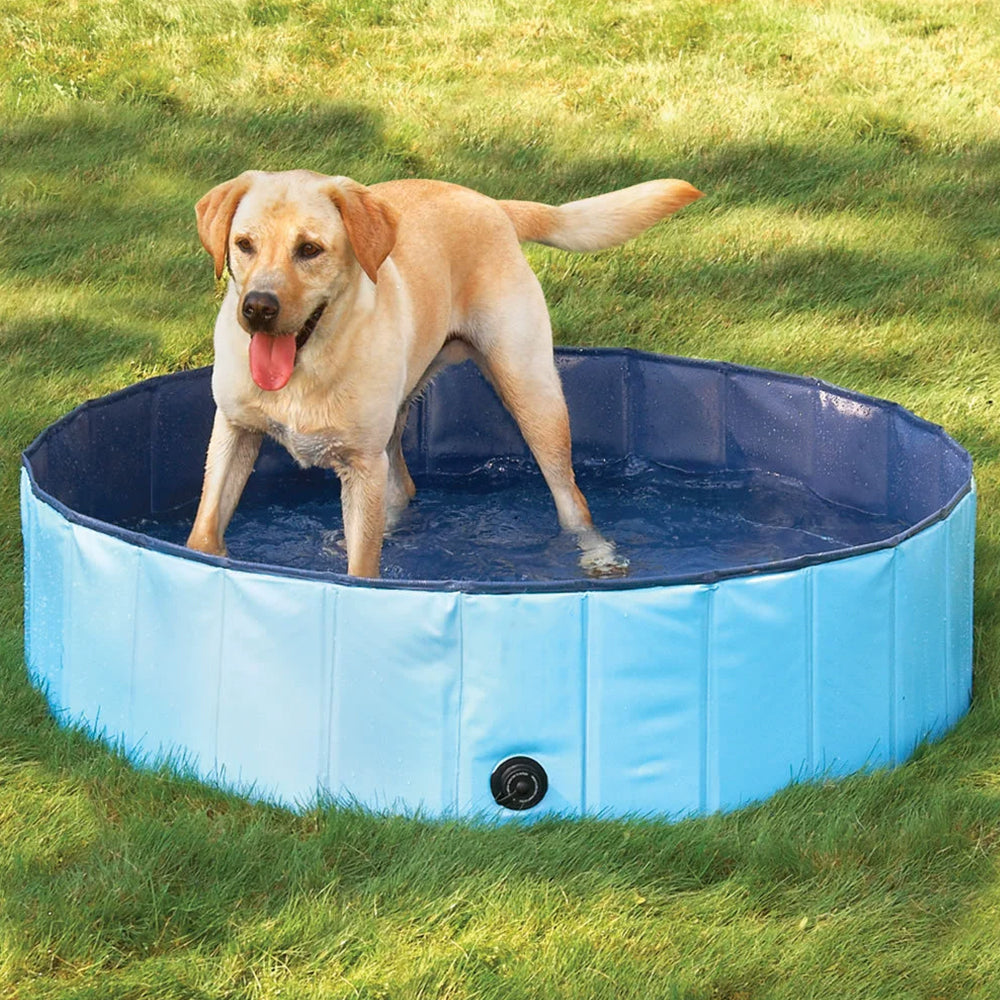 Piscina Para Mascotas y Niños 80x20